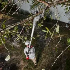 Milwaukee M18 BLTS-0 akkus teleszkópos ágvágó 18V alapgép