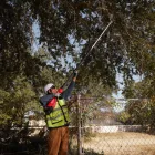Milwaukee M18 BLTS-0 akkus teleszkópos ágvágó 18V alapgép